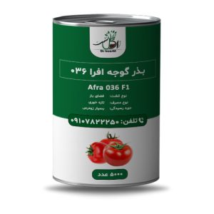 خرید بذر گوجه افرا 036