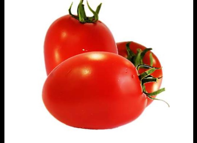 خرید بذر گوجه پارس