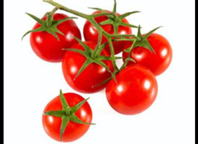 خرید بذر گوجه گیلاسی کانیون 024