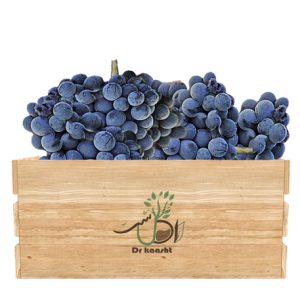 نهال انگور شرابی شیراز