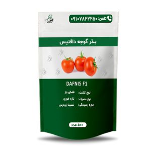 خرید بذر گوجه دافنیس