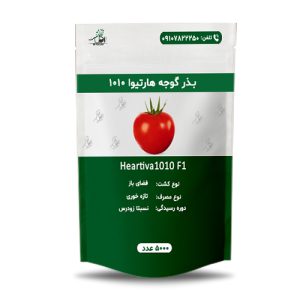 بذر گوجه هارتیوا 1010
