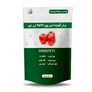 بذر گوجه اس وی 4592 تی دی